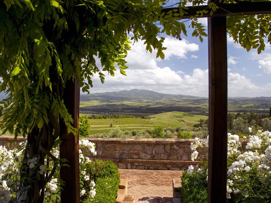 Suite júnior | Vista des de l'habitació