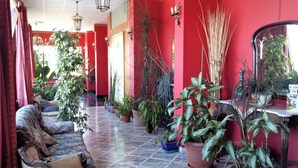 A hallway with red walls, multiple potted plants, and a patterned sofa. - Grande Albergo Abruzzo (Chieti)