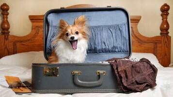 A dog sitting inside an open suitcase on a bed with a wooden headboard.