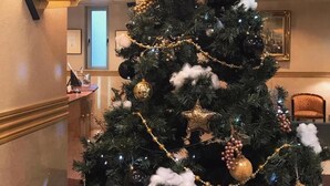 A Christmas tree in a hotel lobby with gold and black decorations, a star on top, and a framed picture in the background. - Nissin Namba Inn (Osaka)