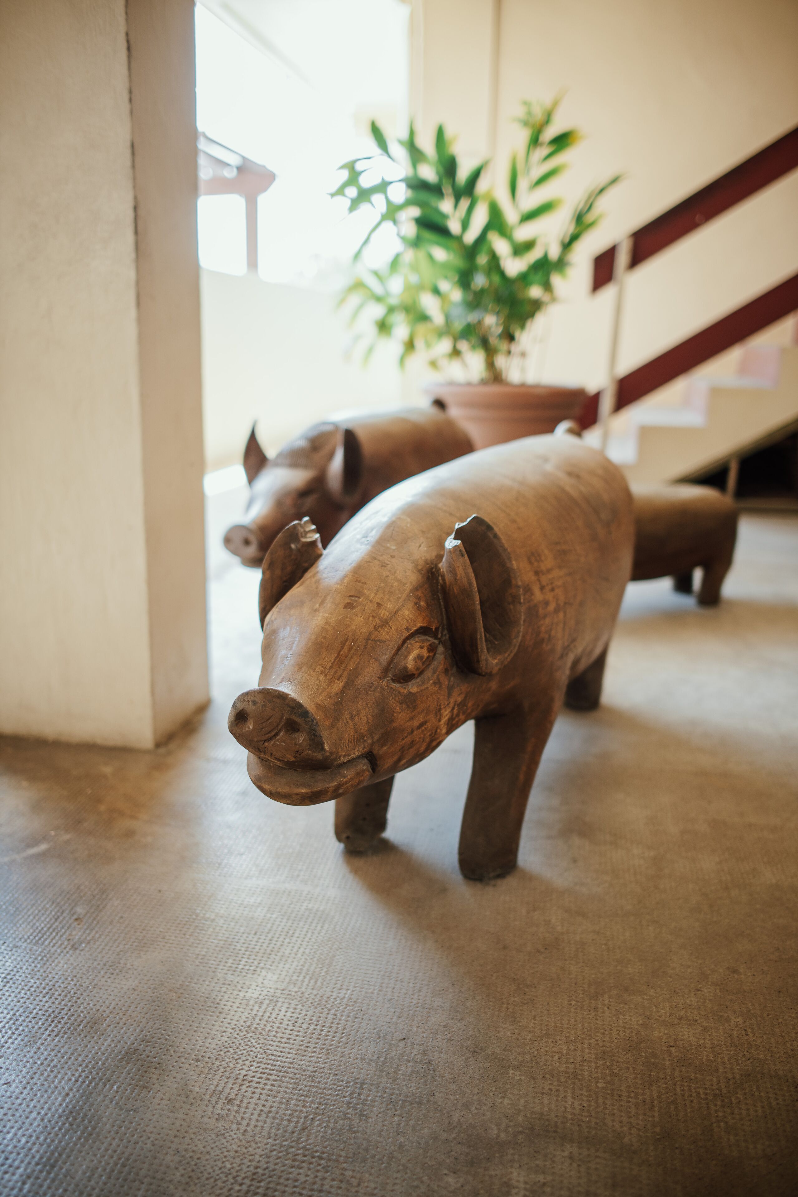 Foto - Kaiviti Motel