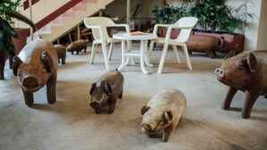 A room with a staircase, white chairs, and a pig sculpture.