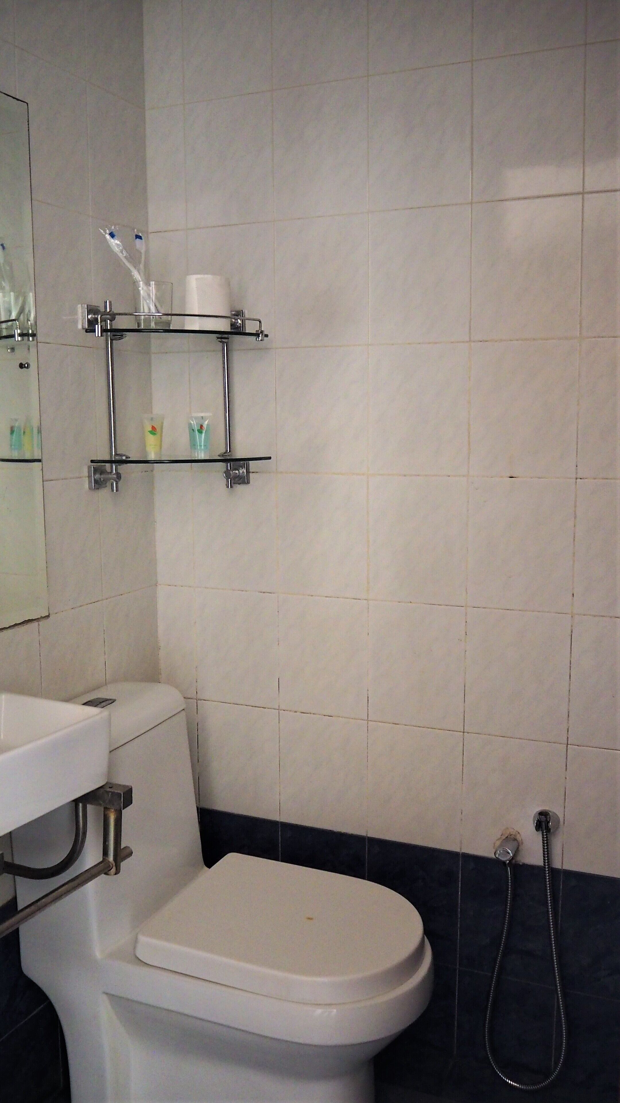 Et badeværelse med toilet, vask, brusebad og en hylde med toiletartikler.