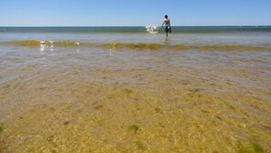 A beach with clear shallow water and a person walking in the distance. - Alagoa Azul Apartments (Castro Marim)