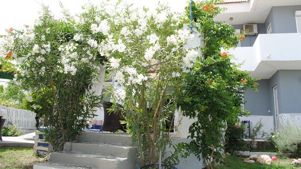 A residential building with a white exterior, a visible staircase leading to the entrance, and a garden area with white flowering plants and a small tree. - Karmik Concept Apartments (Rhodes)