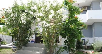 Karmik Concept Apartments