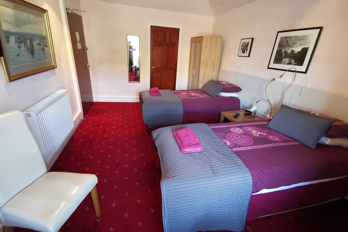 Habitación de hotel con dos camas, alfombra roja, una silla blanca, armario de madera, un espejo y un cuadro enmarcado en la pared.