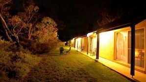 Un bâtiment moderne doté de grandes fenêtres et dont l’extérieur est bien éclairé la nuit.