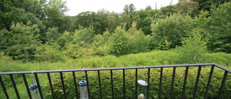 Un balcon doté d’une rambarde en métal, entouré d’une végétation luxuriante et d’arbres.