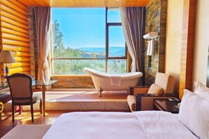 Minibar, in-room safe, iron/ironing board, Internet - Silver Lake Island Hotel At Lugu Lake, Yunnan (Lijiang)