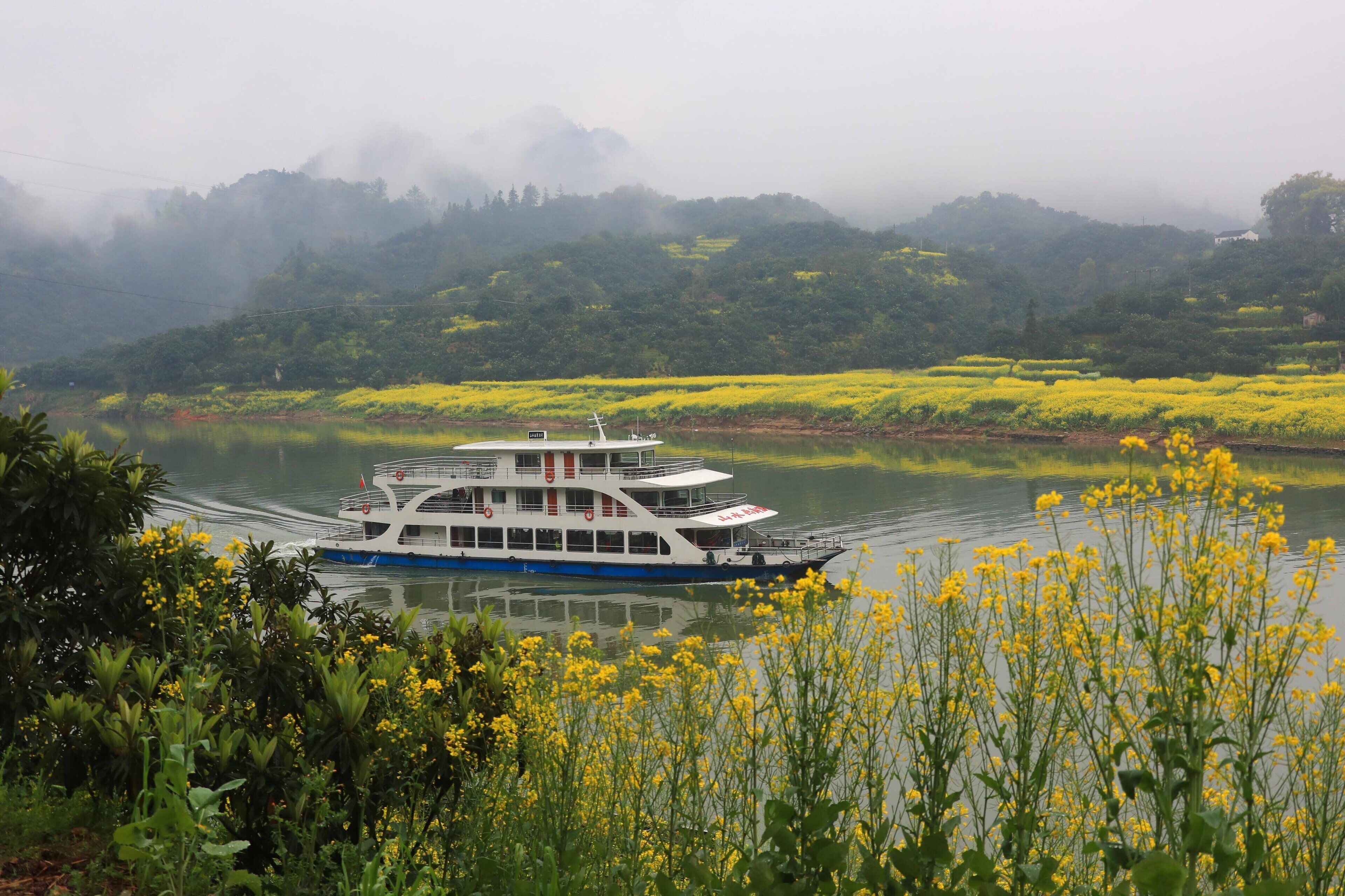 Un barco de paseo fluvial en un río tranquilo, rodeado de vegetación exuberante y flores amarillas.