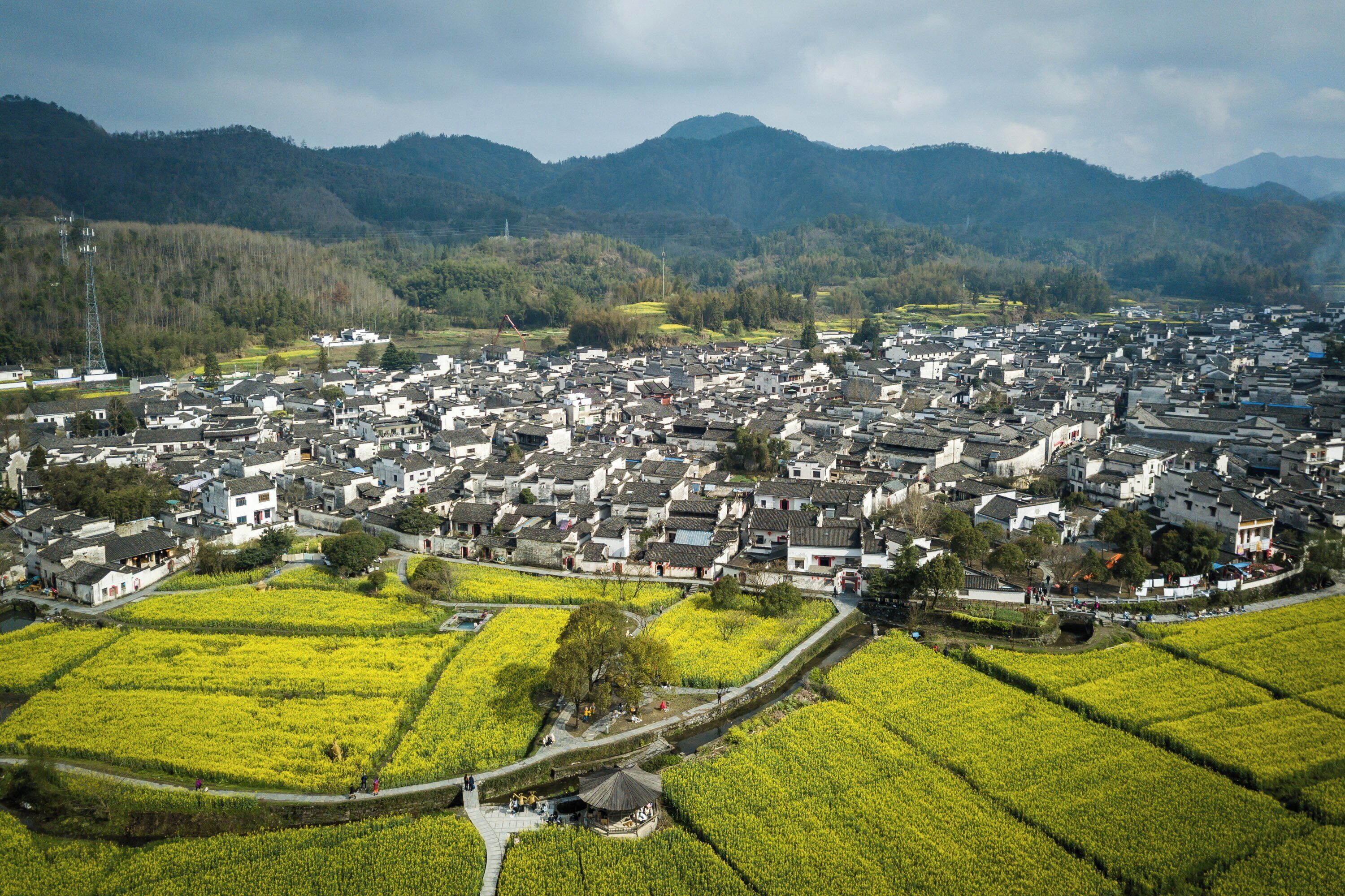 A densely packed village with traditional architecture, surrounded by fields and mountains.