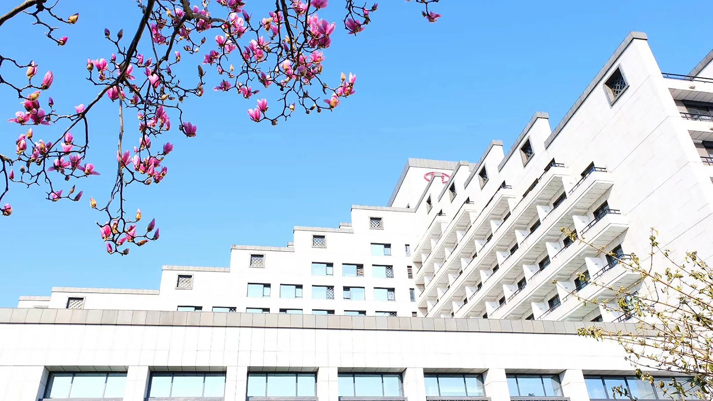 Un edificio de varios pisos con un diseño arquitectónico moderno, que cuenta con una serie de balcones y ventanas amplias.
