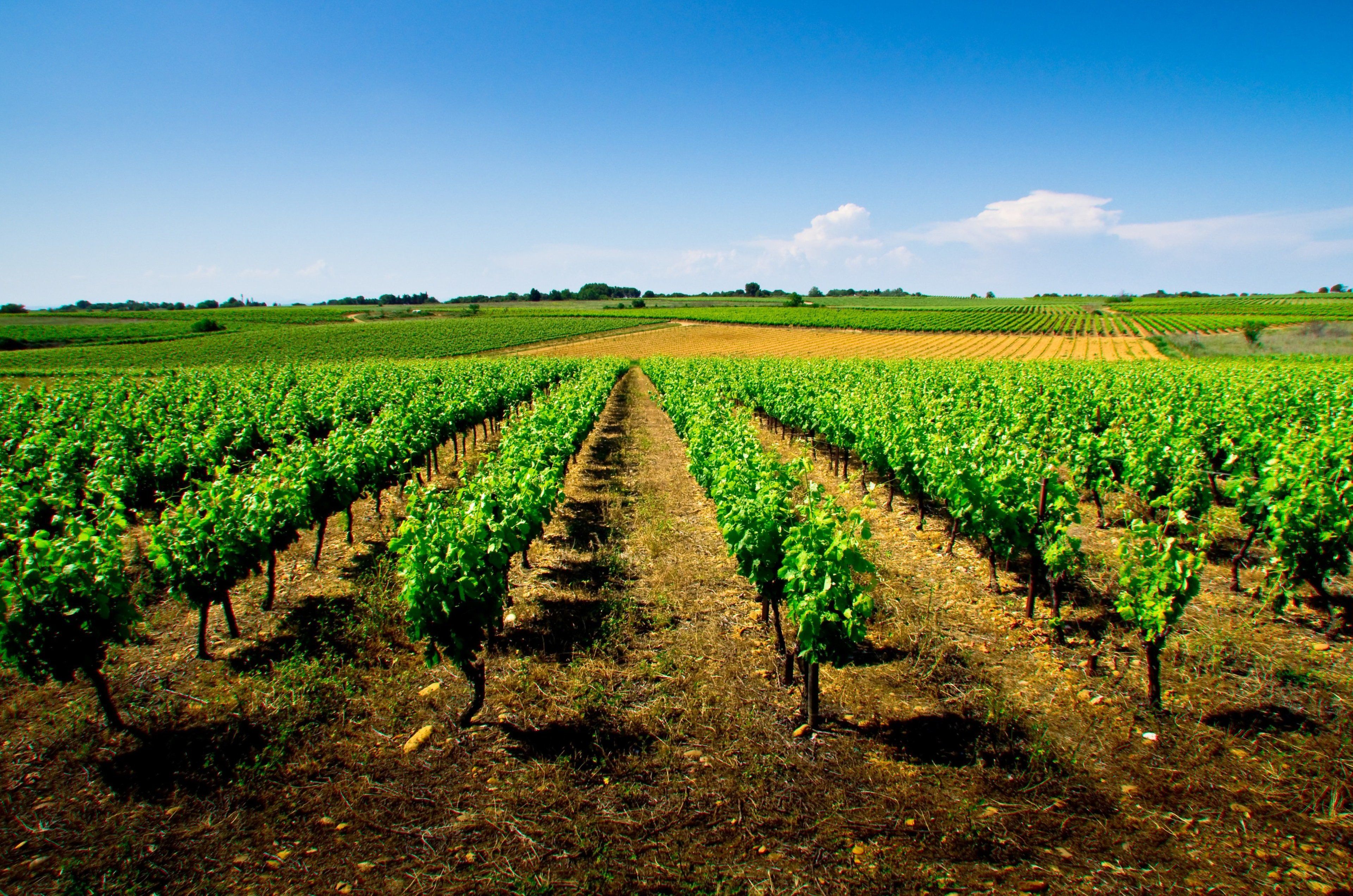 Photo - Holiday Inn Express Montpellier - Odysseum by IHG