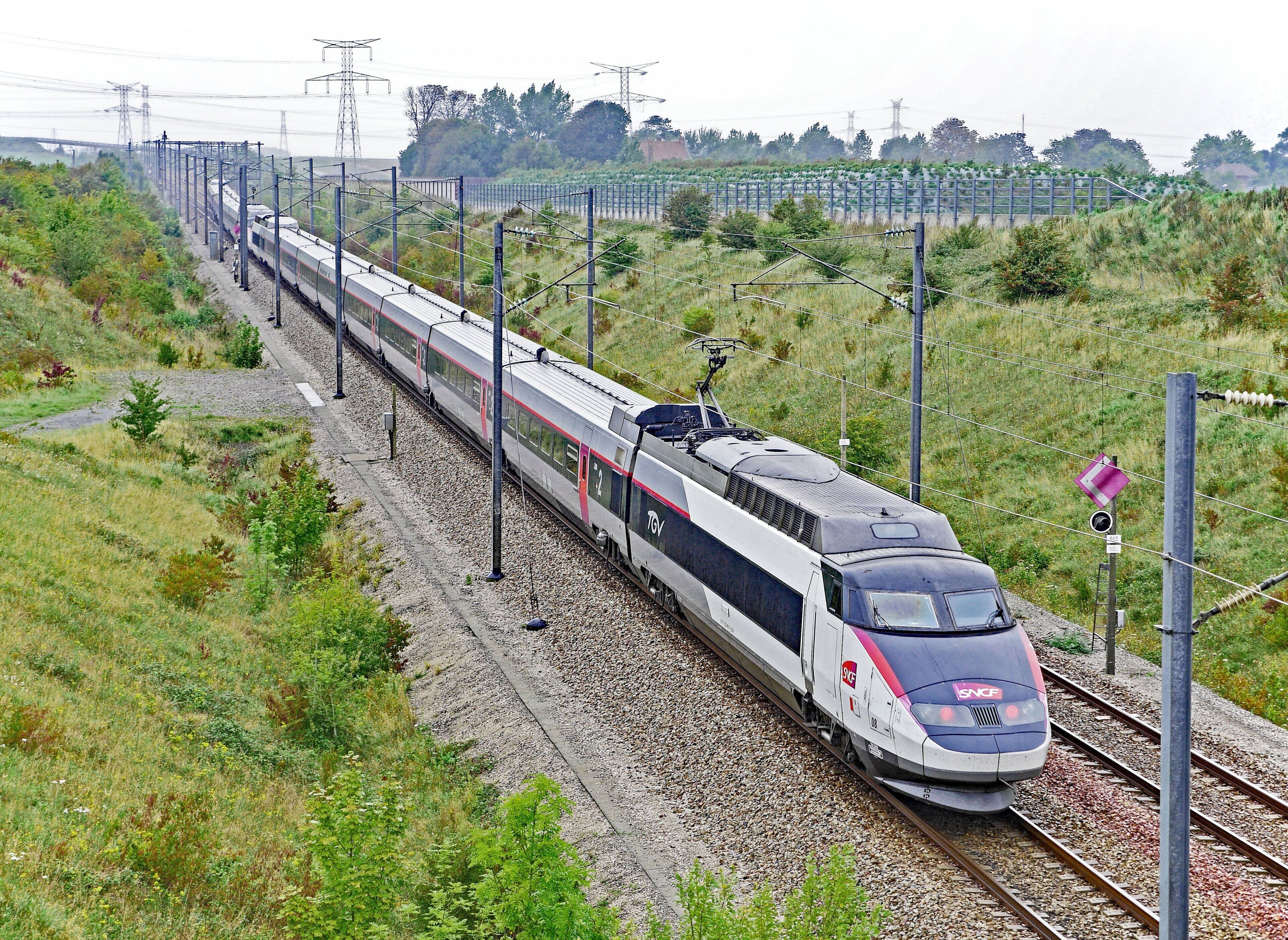 Un tren de alta velocidad circulando sobre una vía férrea rodeada de vegetación.