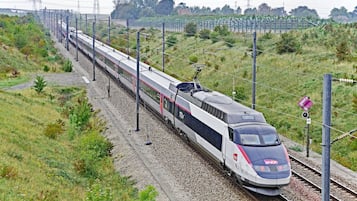 Un tren de alta velocidad circulando sobre una vía férrea rodeada de vegetación.