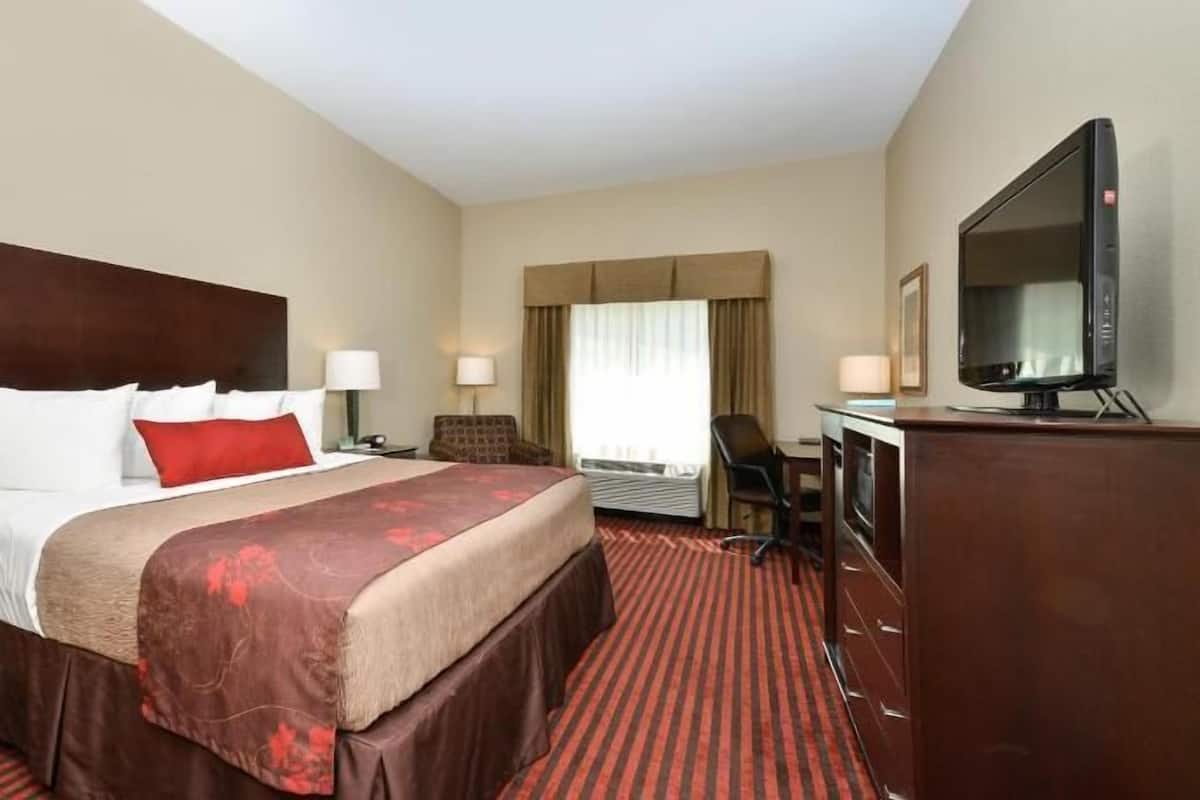 Hypo-allergenic bedding, iron/ironing board, cribs/infant beds