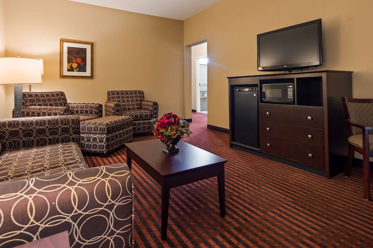 suite, multiple beds, non smoking, refrigerator & microwave (with sofabed) | hypo-allergenic bedding, iron/ironing board, cots/infant beds, free wifi