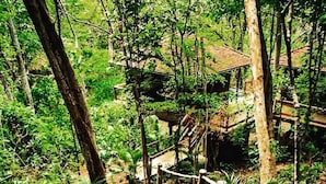 A wooden staircase leading up to a wooden structure surrounded by dense greenery. - Aqua Oceanfront Hotel Resort (Tola)