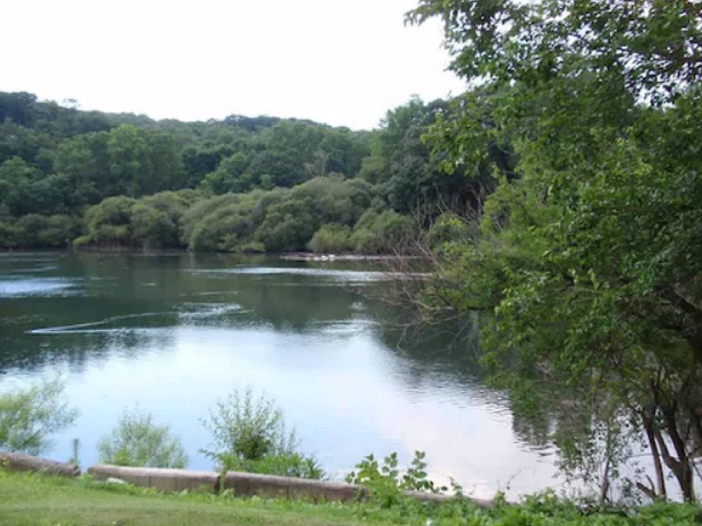 A calm river with dense greenery on both sides.