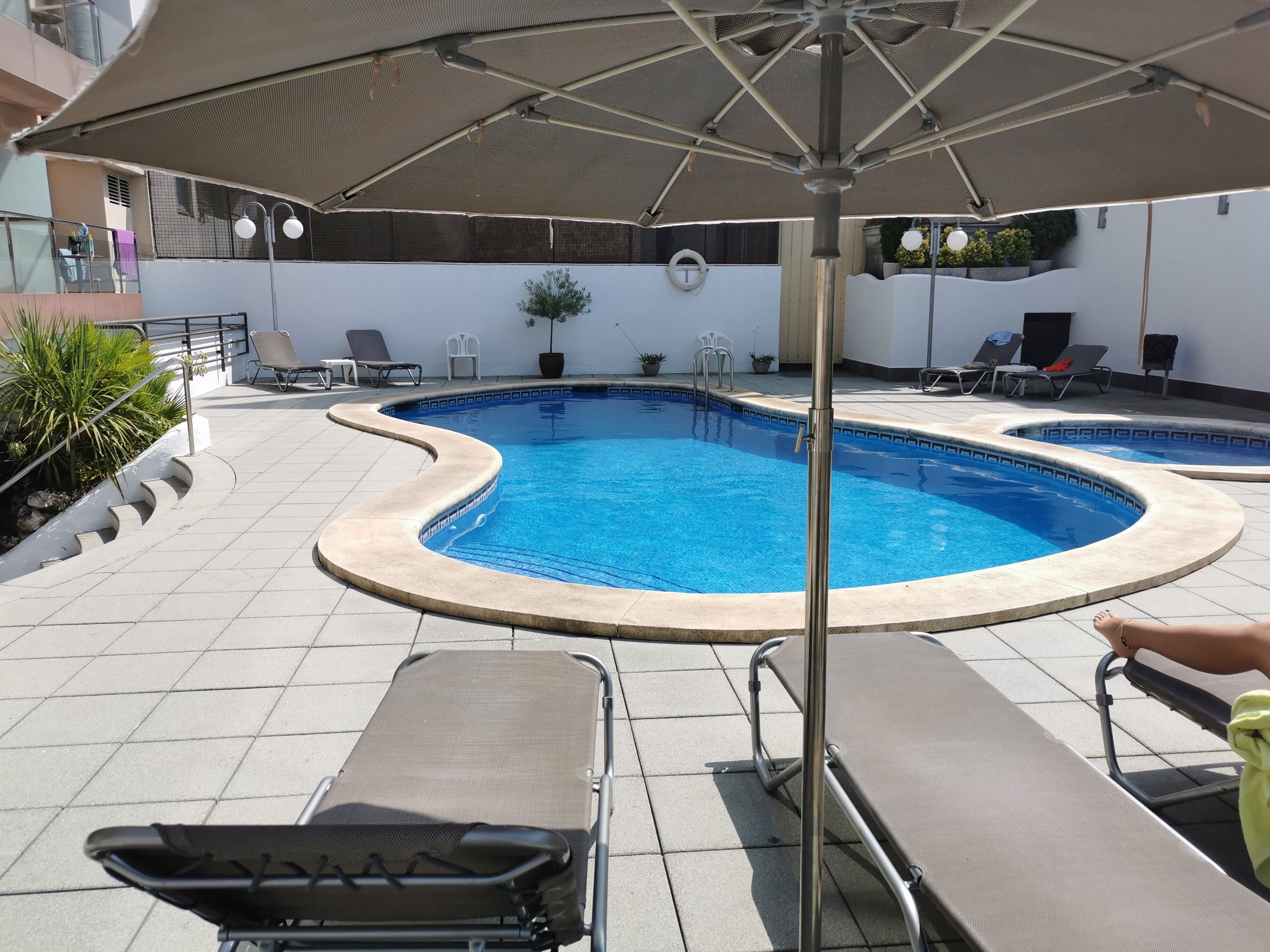 Une piscine à bord incurvé, entourée de chaises longues et de parasols.