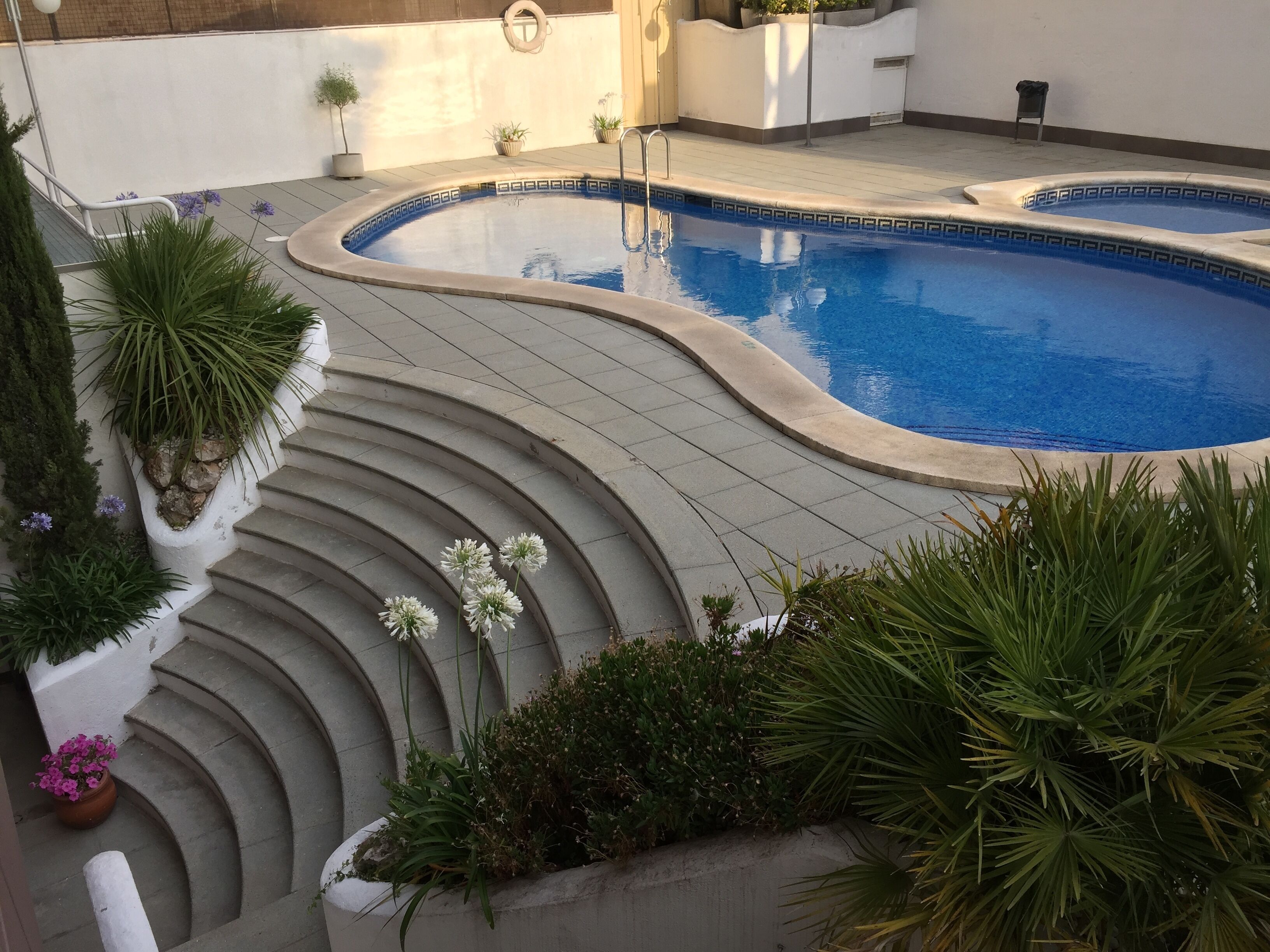 A swimming pool with a curved edge, surrounded by a stone deck and potted plants.