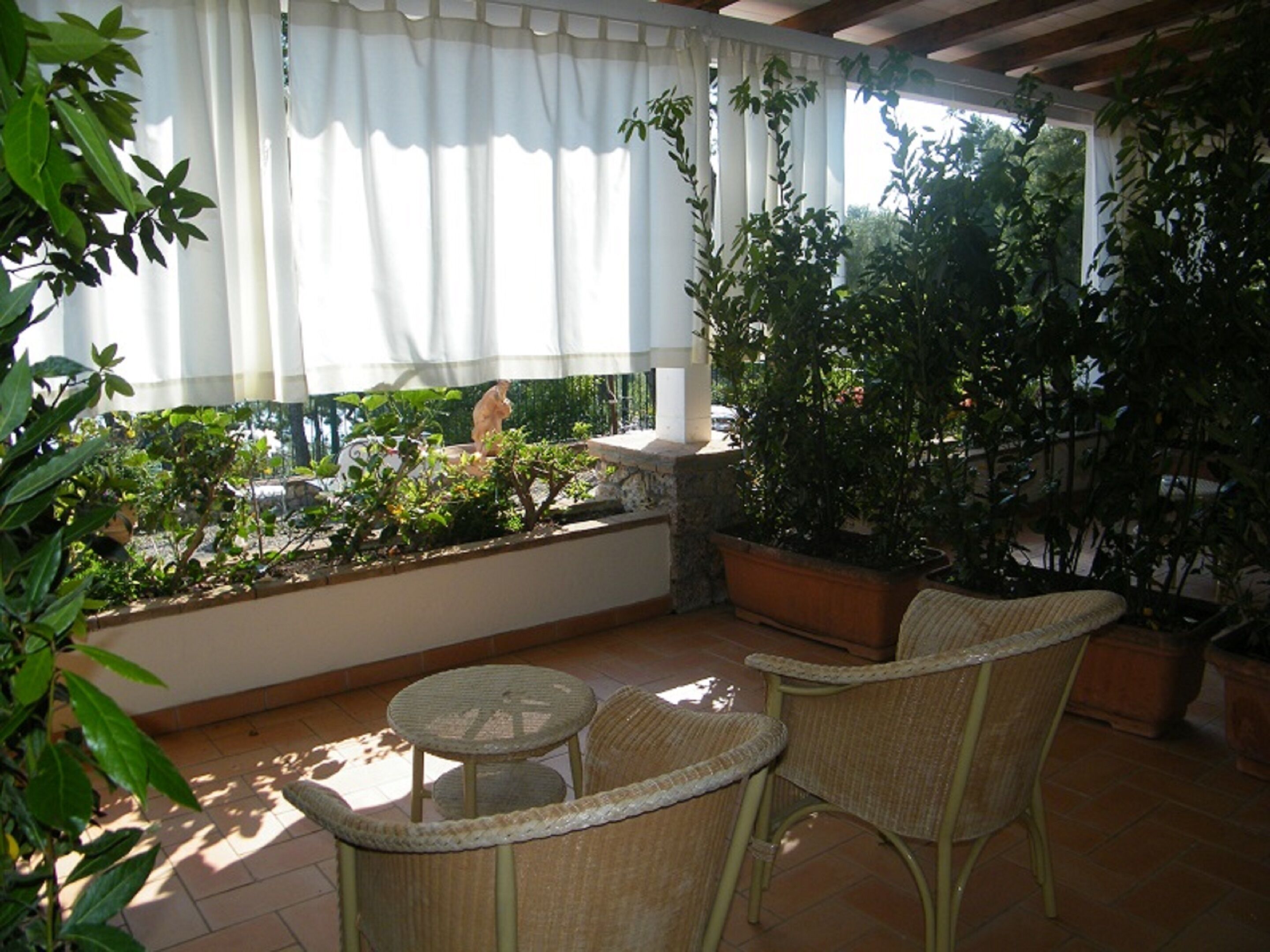A covered patio with wicker furniture, potted plants, and a view of the street.