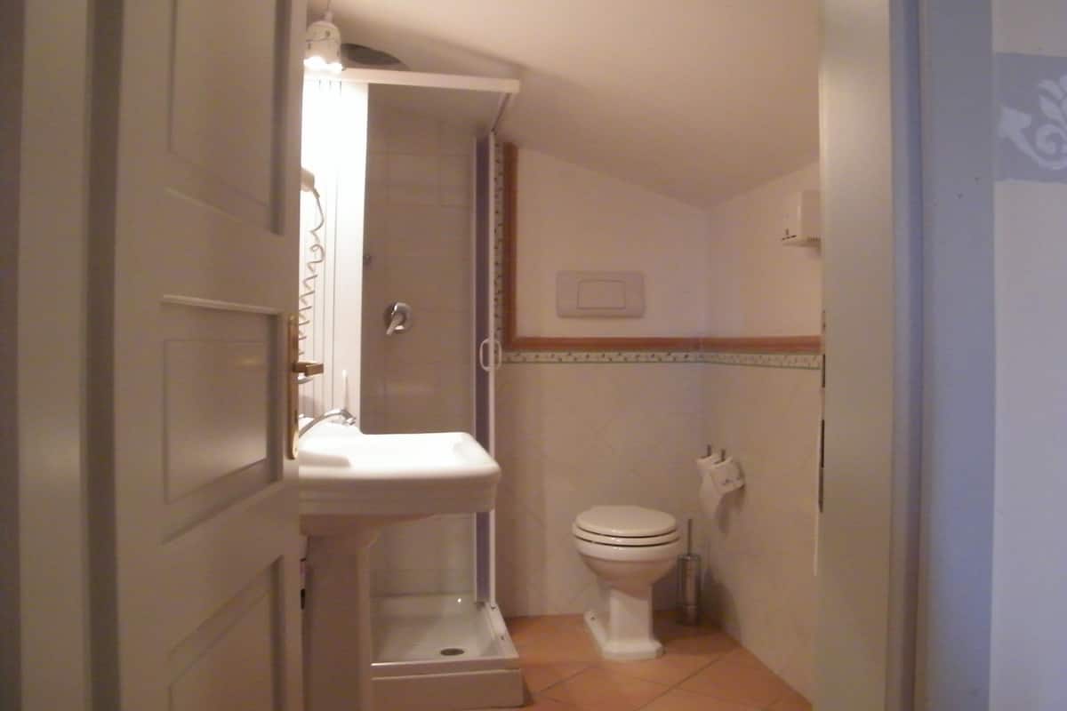 standard room | bathroom | shower, free toiletries, hair dryer, bidet