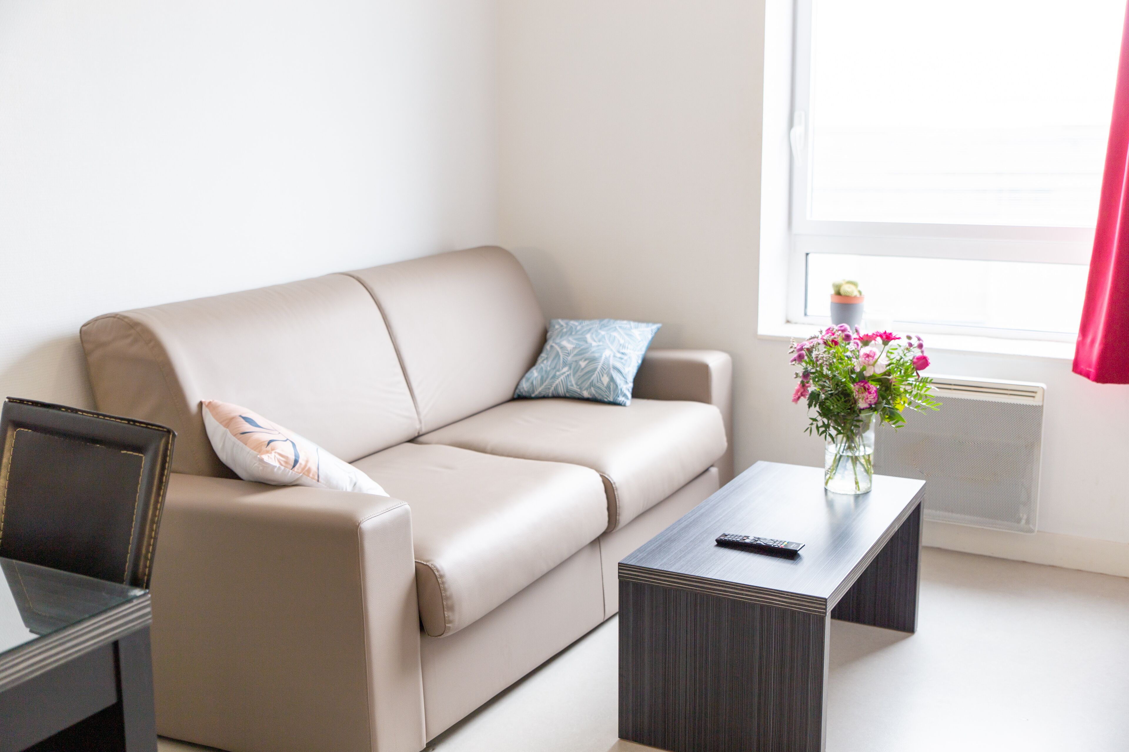 Foto - Cowool Toulouse