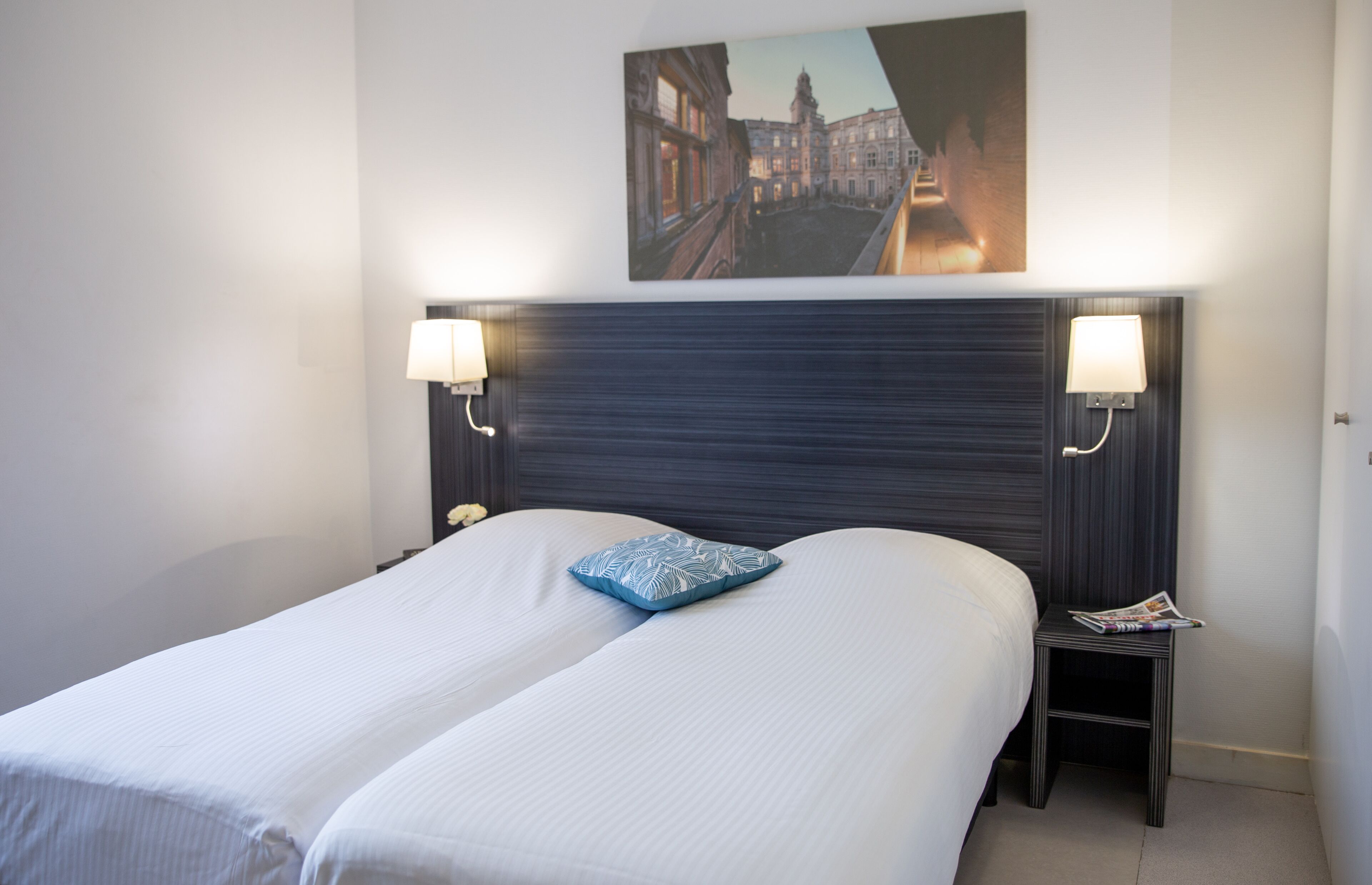 Foto - Cowool Toulouse