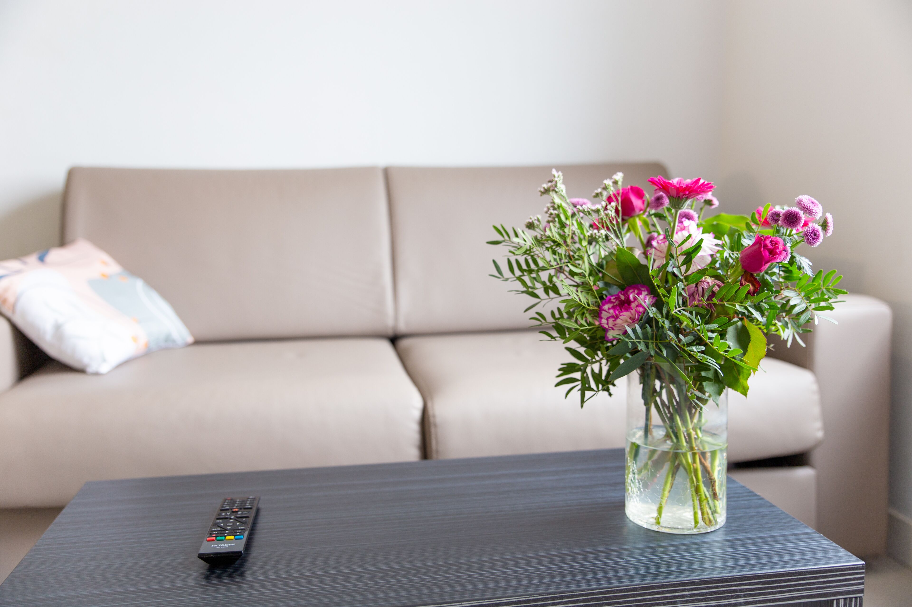 Foto - Cowool Toulouse