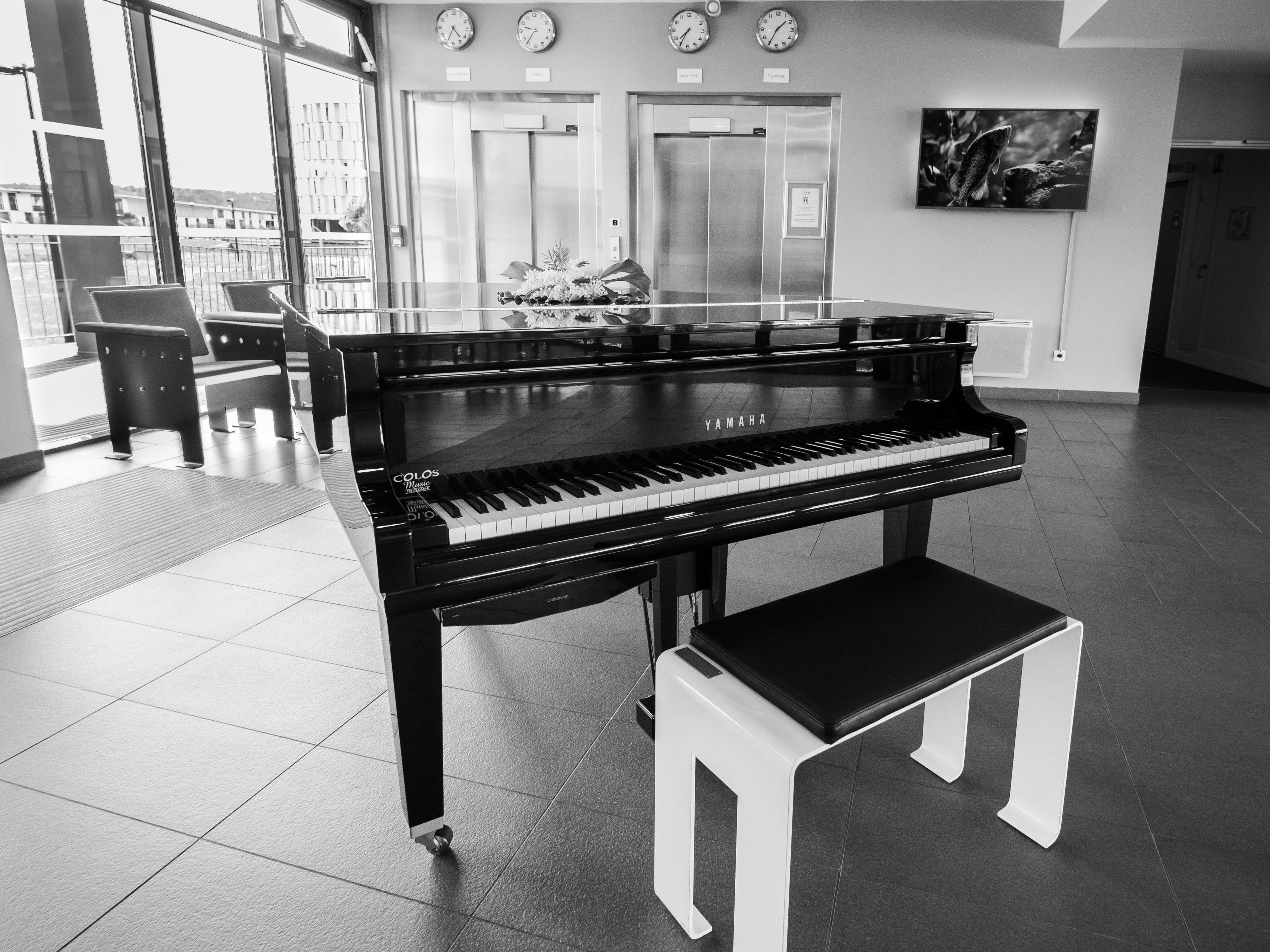 Foto - Cowool Toulouse