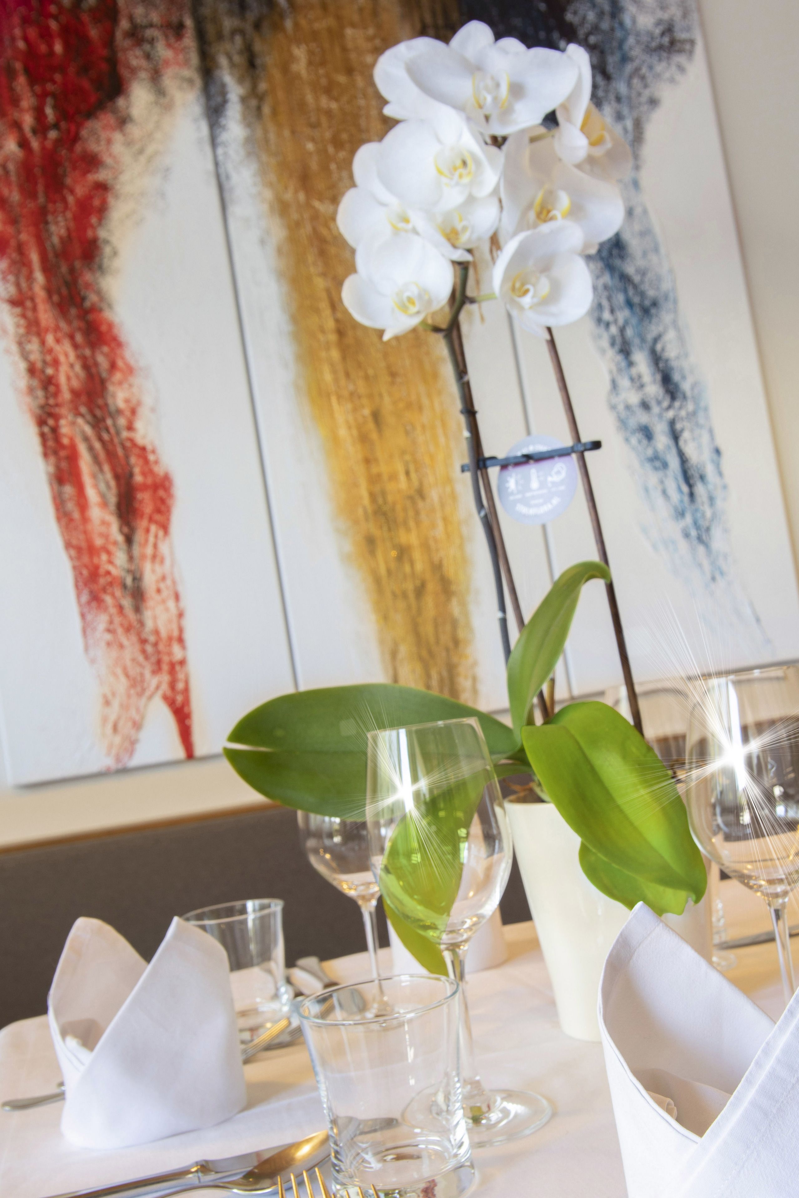 Foto - Bed&Breakfast Pension Hilpold