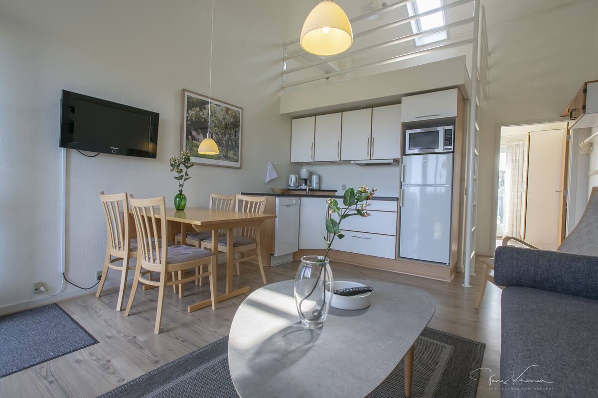 Apartment, 2 Bedrooms (EXCL. SHEETS, TYPE 4+2) | In-room dining