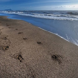 Pantai persendirian, kerusi lepak pantai, payung, tuala pantai
