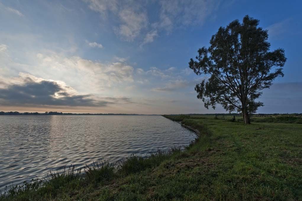 Un río tranquilo con una orilla cubierta de hierba y un árbol solitario a la derecha.