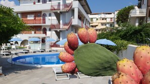 Un hotel con piscina, mobiliario exterior y una planta de cactus.
