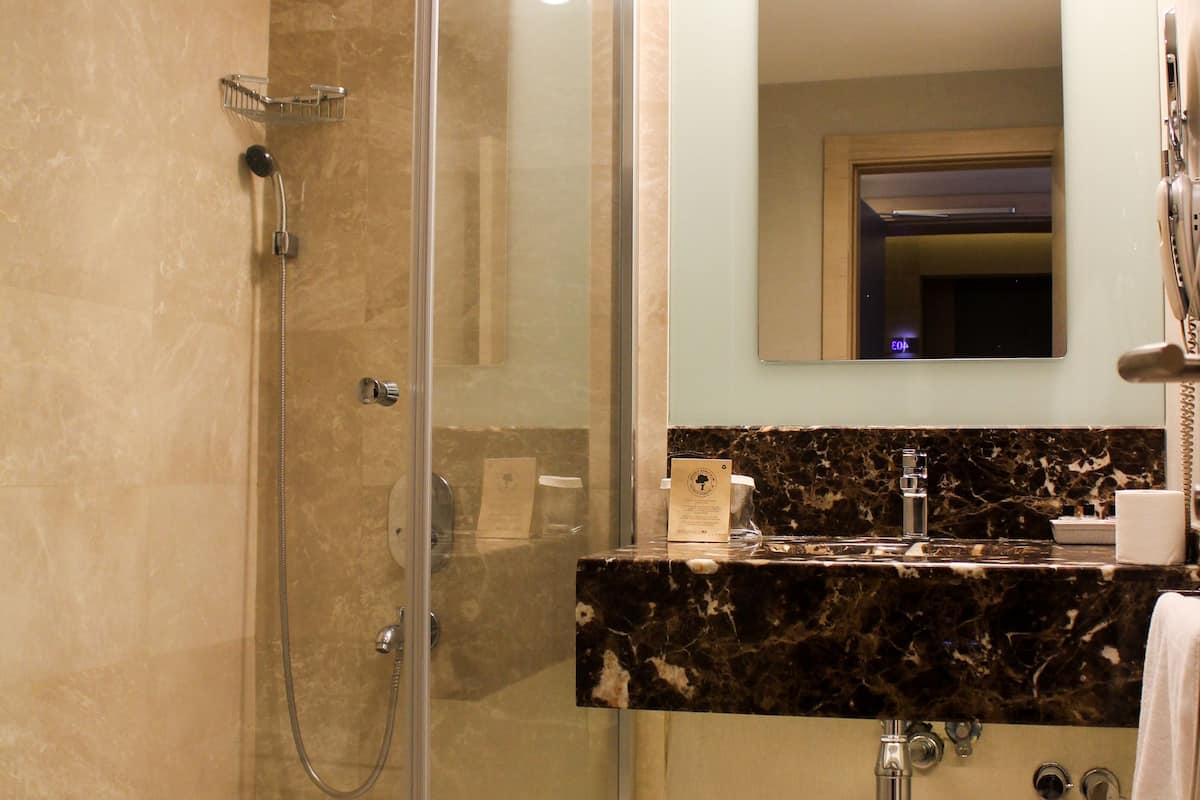 combined shower/bathtub, rainfall showerhead, hair dryer, slippers