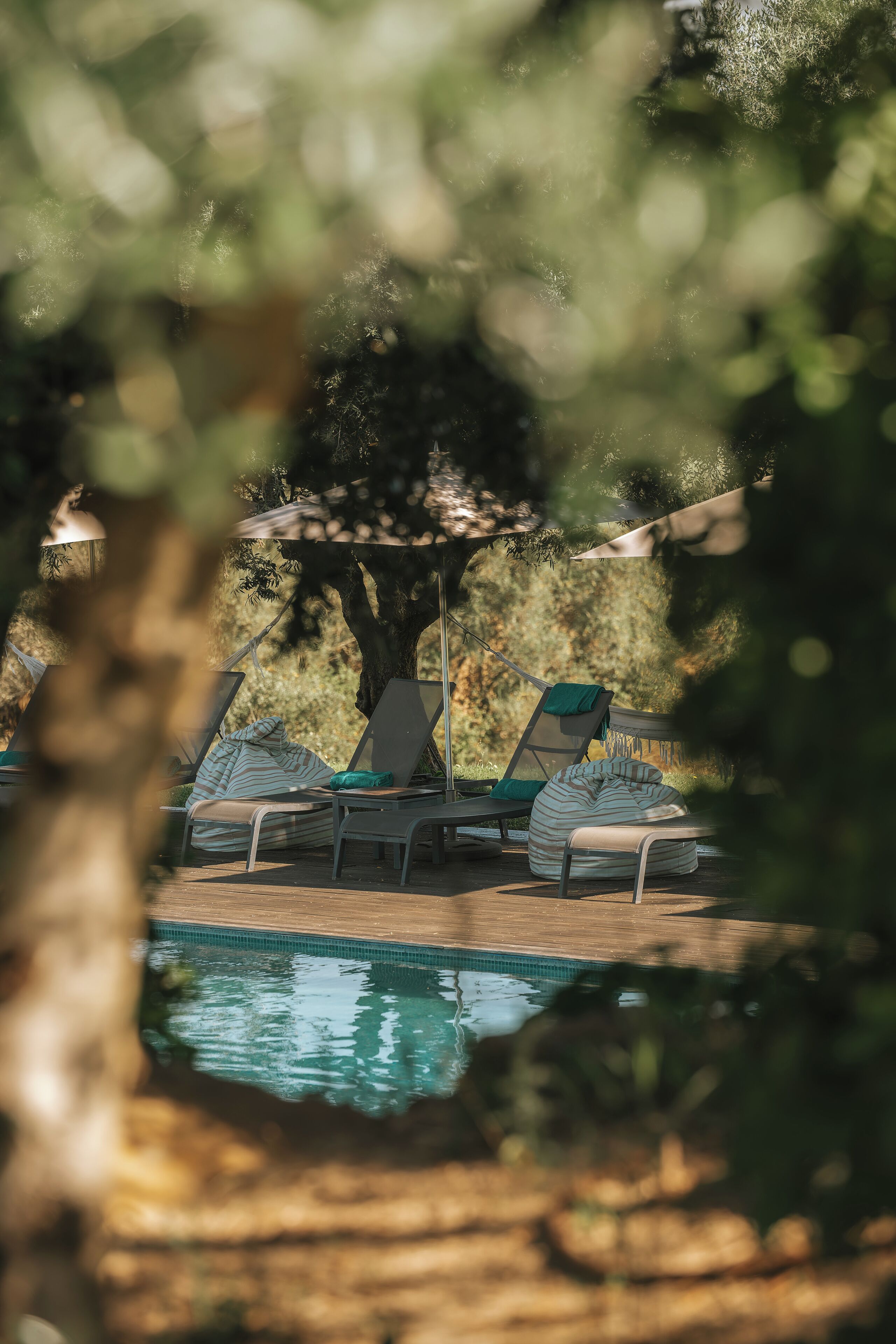 A poolside area with lounge chairs and a canopy.