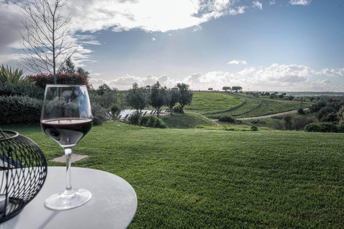 A glass of red wine on a table with a view of a grassy landscape and rolling hills.