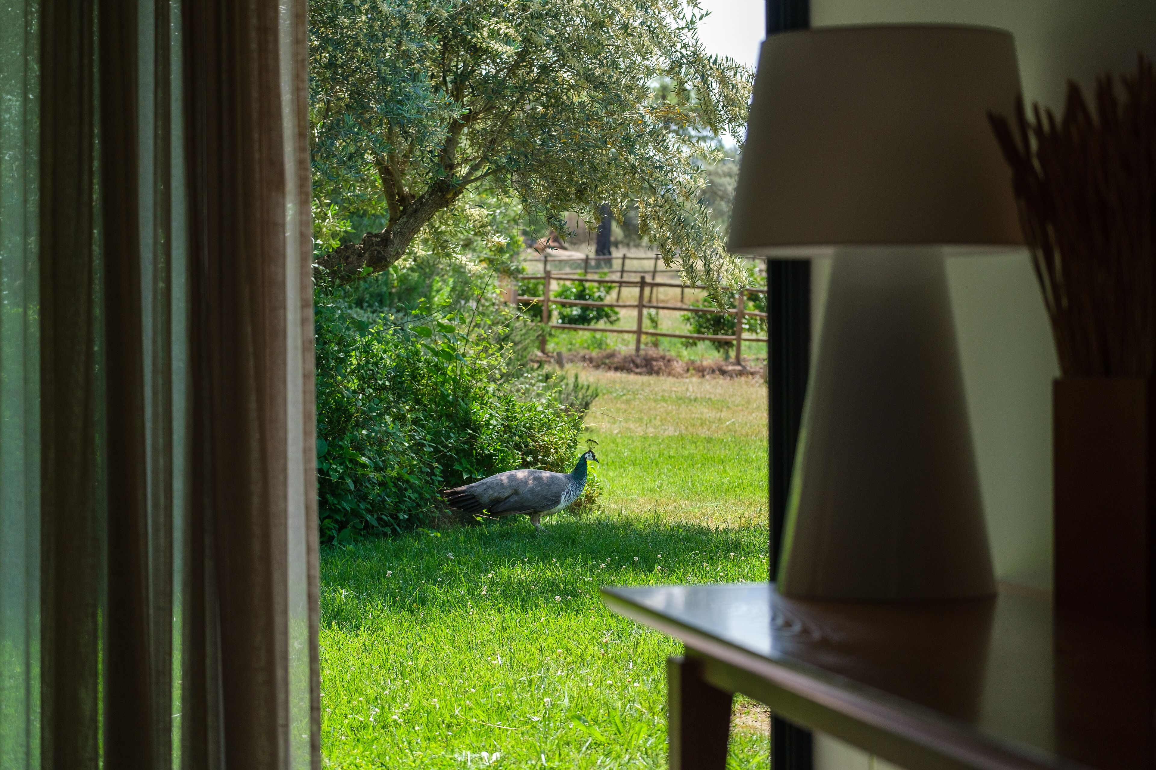 double or twin room | minibar, in-room safe, desk, iron/ironing board