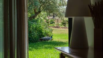 A view through a window with a table and lamp in the foreground, and a peacock in a grassy area beyond.