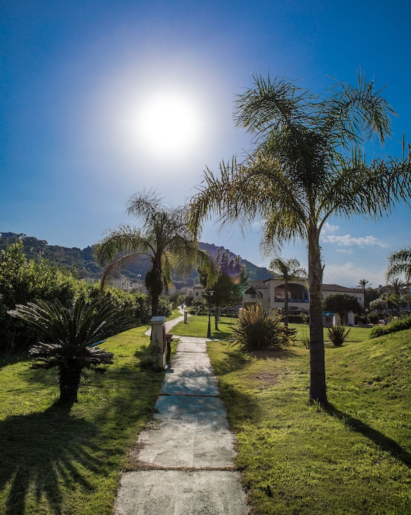Un camino que lleva a una zona residencial con casas y palmeras.