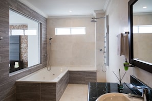 Hydromassage showerhead, free toiletries, hair dryer, towels