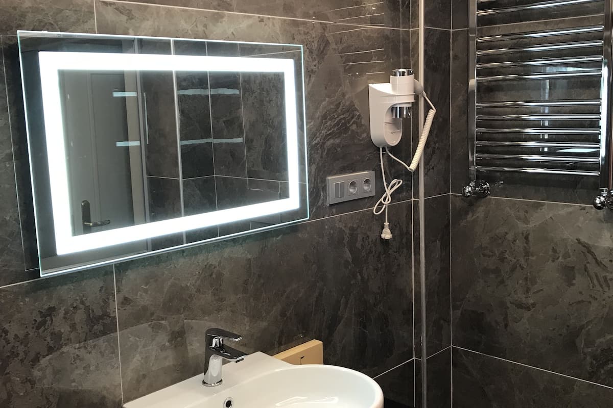 economy room, 1 queen bed with sofa bed (basement room) | bathroom | shower, rainfall showerhead, designer toiletries, hair dryer