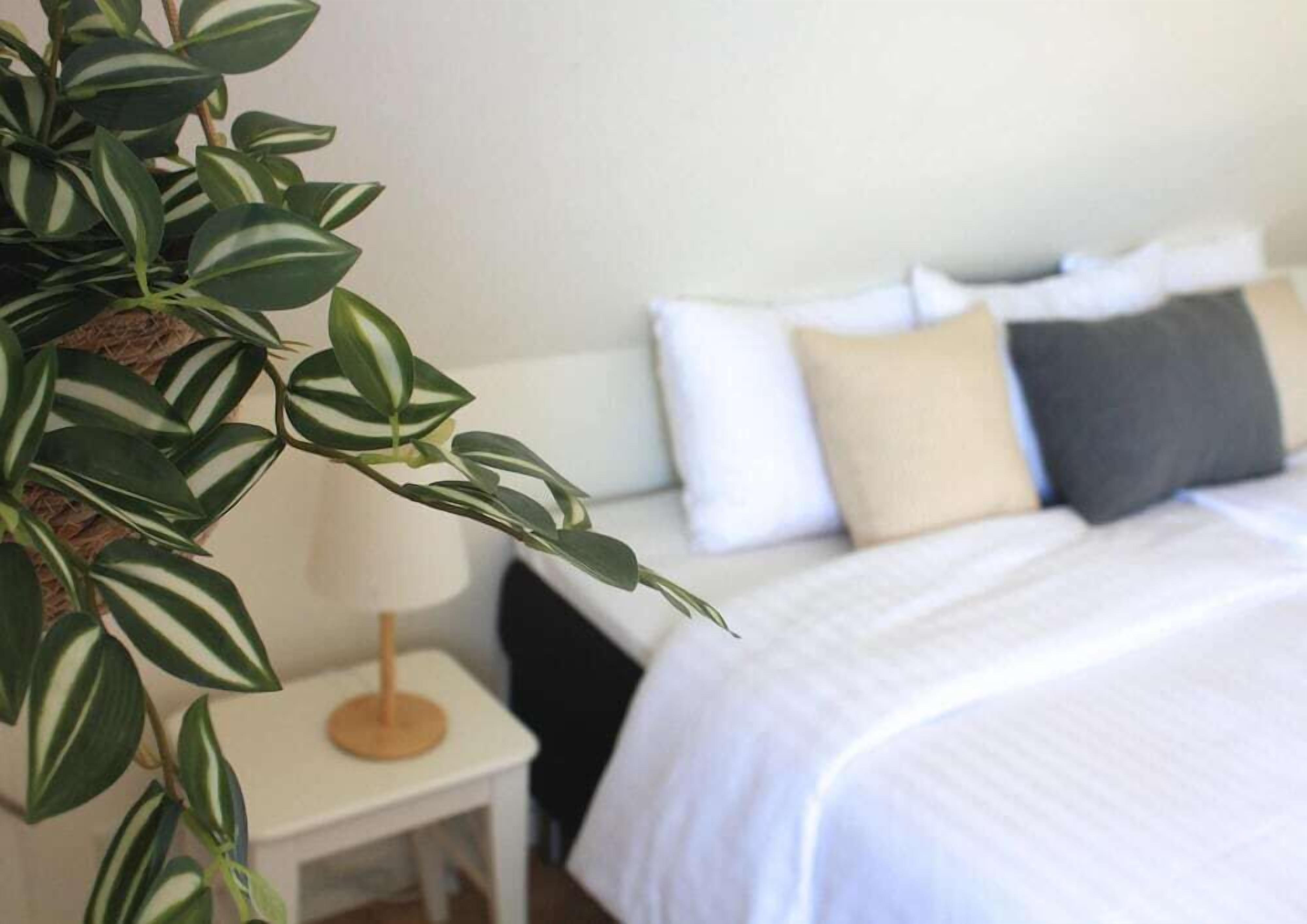 Hypo-allergenic bedding, free cribs/infant beds, free WiFi, bed sheets
