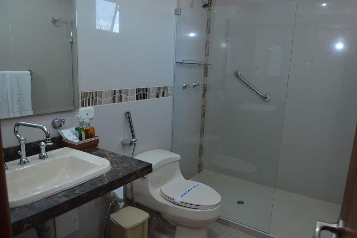 shower, rainfall showerhead, hair dryer, towels