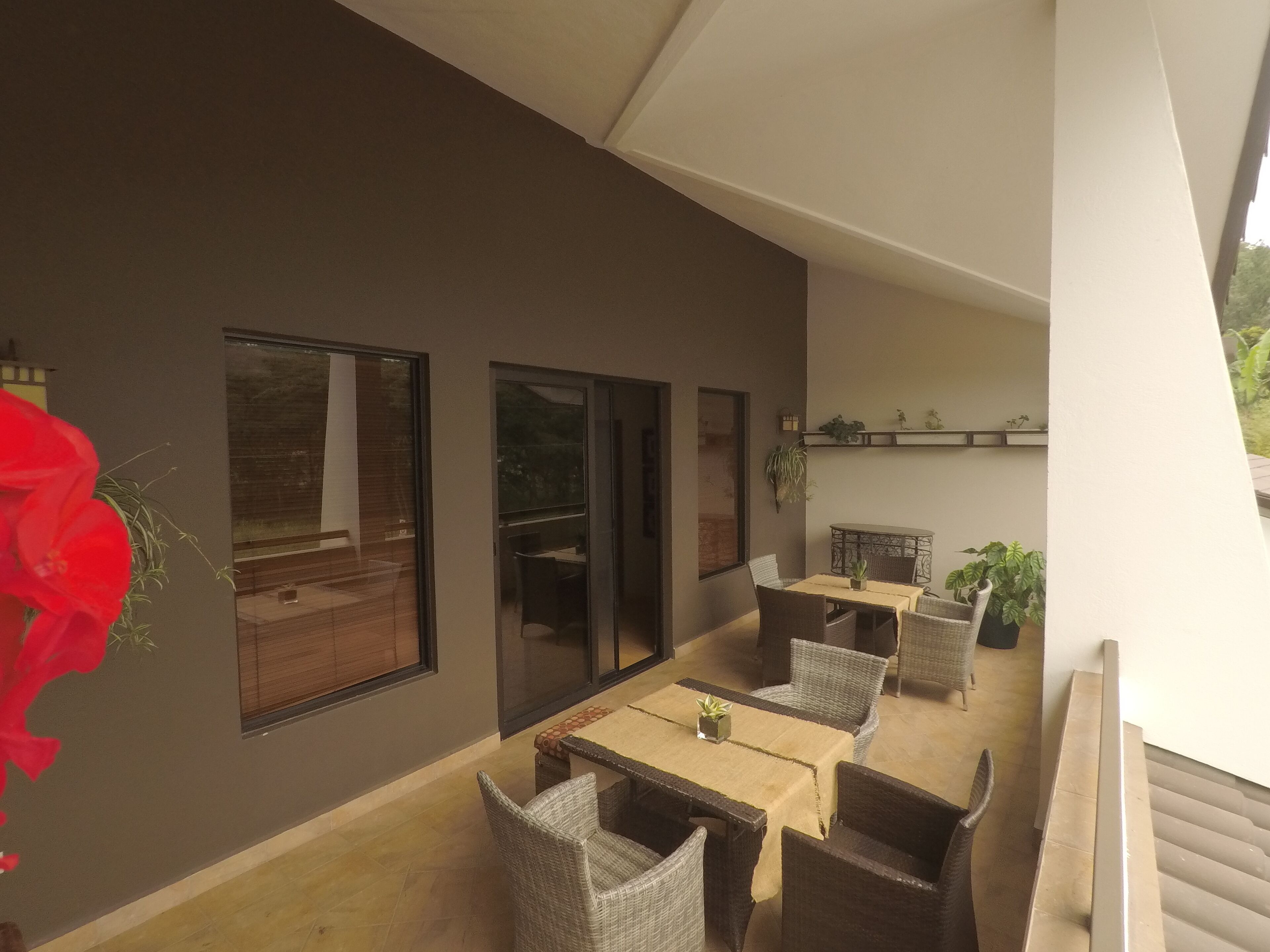 Une terrasse extérieure moderne, dotée d'une longue table et de chaises en osier, de grandes fenêtres et de plantes en pot.