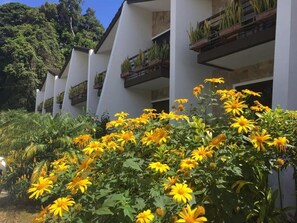 Exterior - Hotel Ladera (Jaramillo)