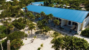 A coastal building with a blue roof, surrounded by palm trees and a sandy beach.